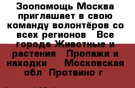 Зоопомощь.Москва приглашает в свою команду волонтёров со всех регионов - Все города Животные и растения » Пропажи и находки   . Московская обл.,Протвино г.